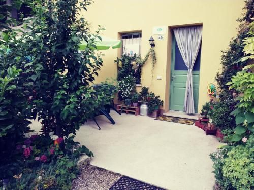Outdoor Pictures 7
