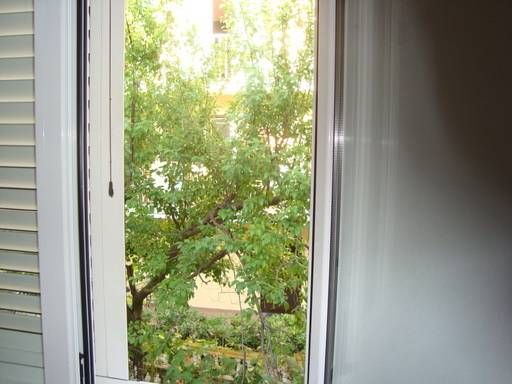 Outdoor Pictures 15