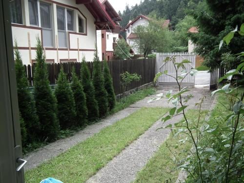 Outdoor Pictures 1