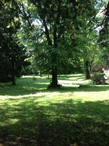 Outdoor Pictures 5