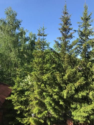 Outdoor Pictures 1
