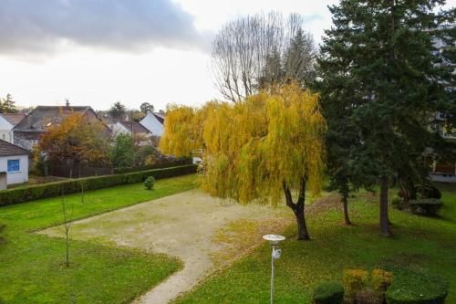 Outdoor Pictures 5