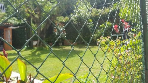 Outdoor Pictures 5