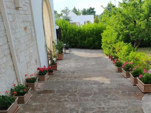 Outdoor Pictures 1