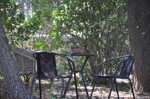 Outdoor Pictures 4