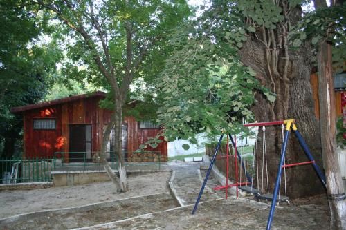 Outdoor Pictures 12