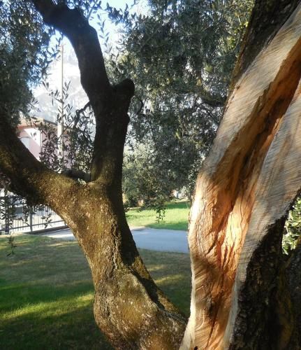 Outdoor Pictures 1
