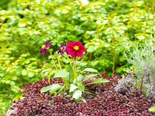 Outdoor Pictures 15