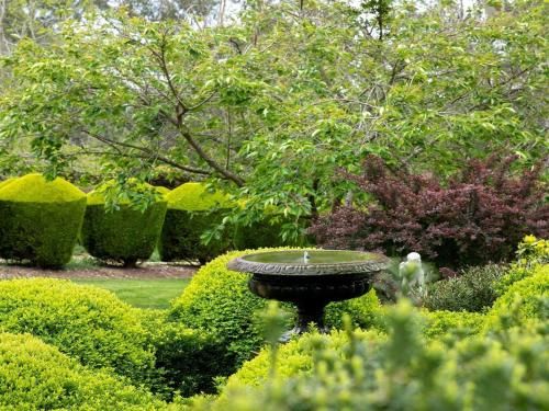 Outdoor Pictures 16