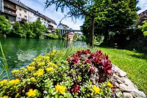 Outdoor Pictures 12