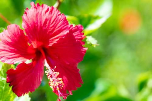 Outdoor Pictures 23
