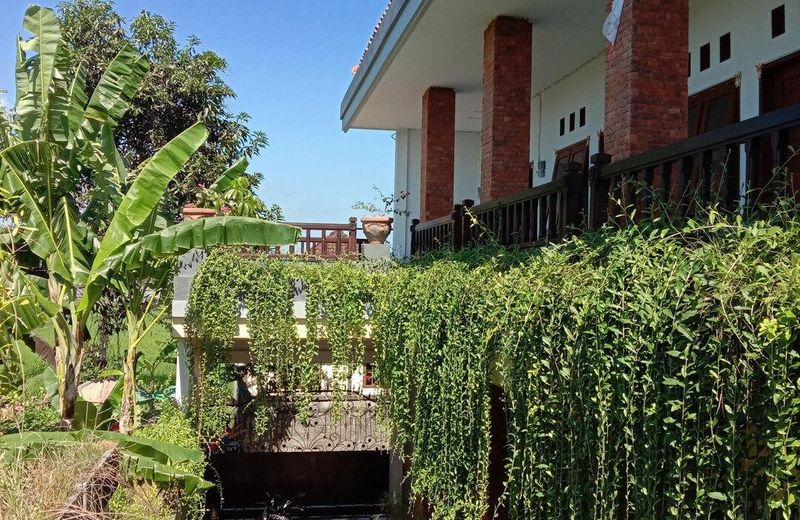 Dedyluminous Guest House (Deluxe Double Room)