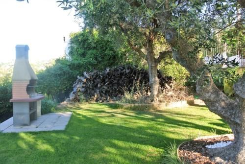 Outdoor Pictures 2