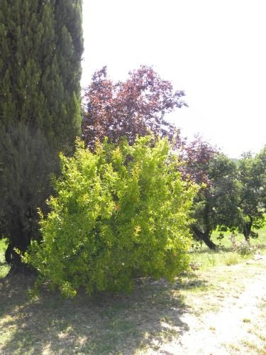 Outdoor Pictures 12