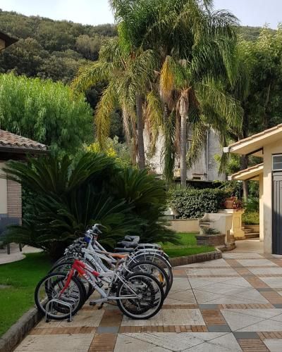 B&B Cavalieri