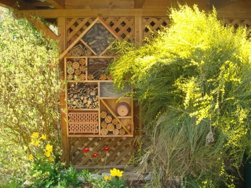 Outdoor Pictures 10