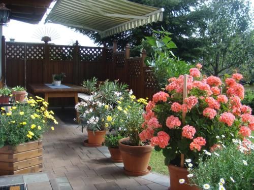 Outdoor Pictures 11