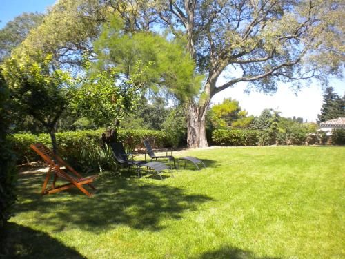 Outdoor Pictures 15