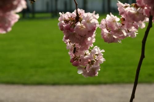 Outdoor Pictures 20