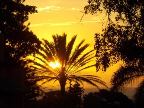Outdoor Pictures 16