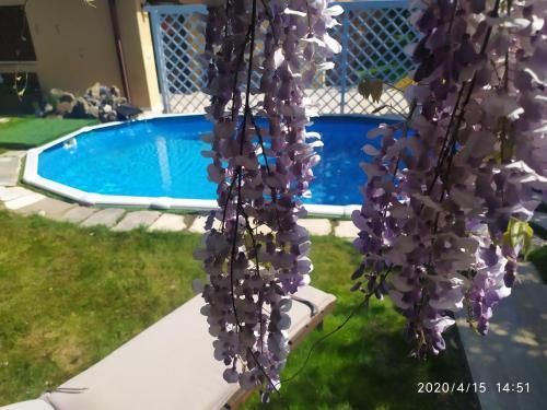 Outdoor Pictures 16