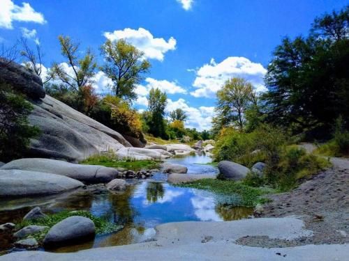 Outdoor Pictures 9