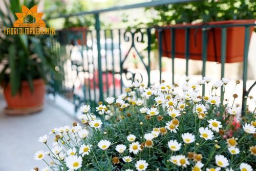 Outdoor Pictures 18