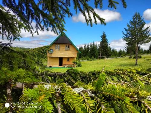 Outdoor Pictures 23