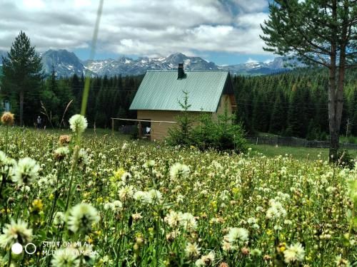 Outdoor Pictures 20
