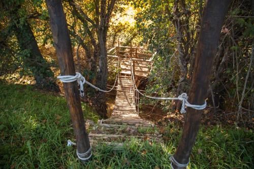 Outdoor Pictures 10