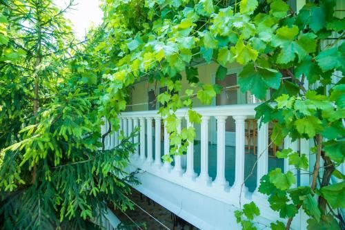 Outdoor Pictures 23