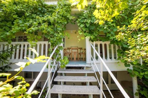 Outdoor Pictures 24