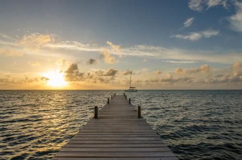 Outdoor Pictures 21