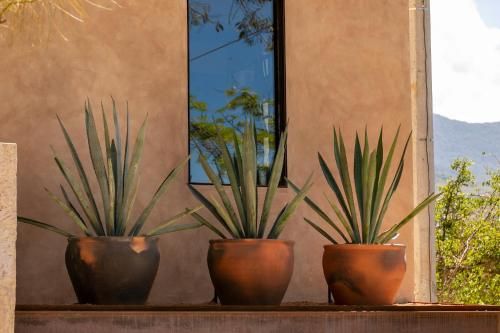 Outdoor Pictures 11