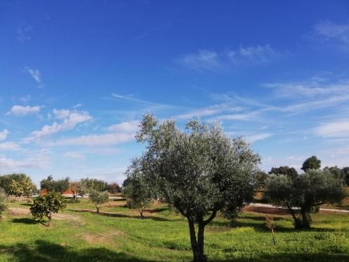 Burrico D`Orada - Lodging & Experiences
