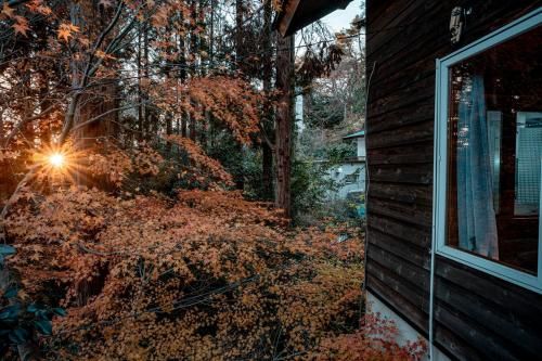 Outdoor Pictures 22