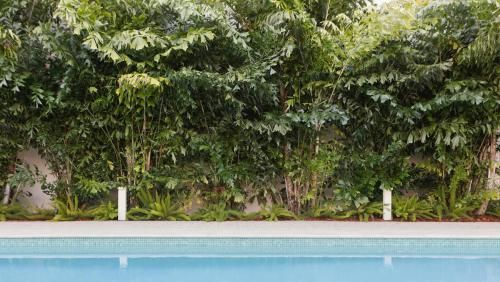 Outdoor Pictures 24