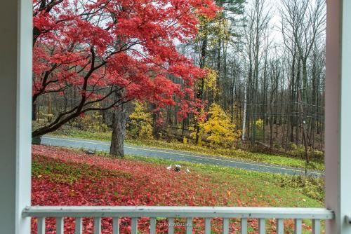 Outdoor Pictures 6