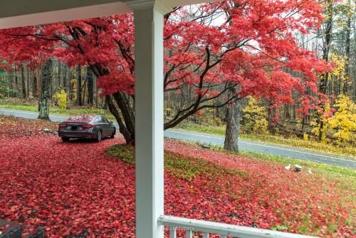 Outdoor Pictures 9