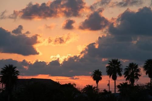 Outdoor Pictures 18