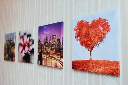 Outdoor Pictures 5