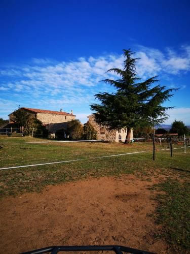 Outdoor Pictures 1