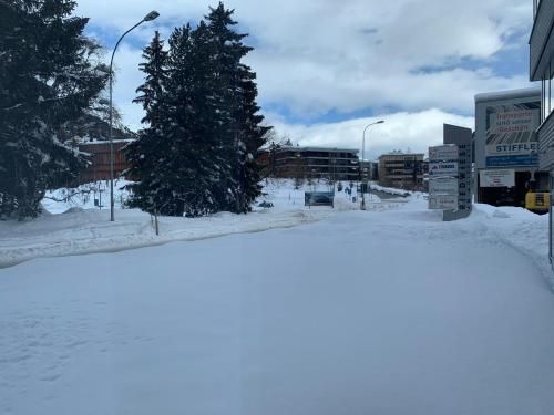 DAVOS LODGE