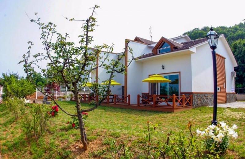 Daebudo White Island Pension