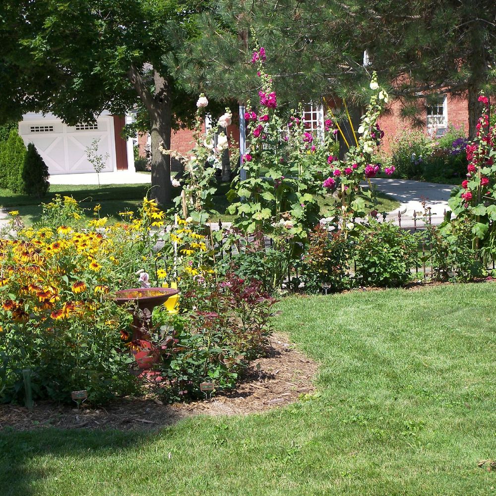 Outdoor Pictures 1