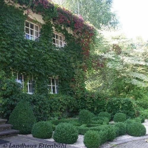 Outdoor Pictures 5