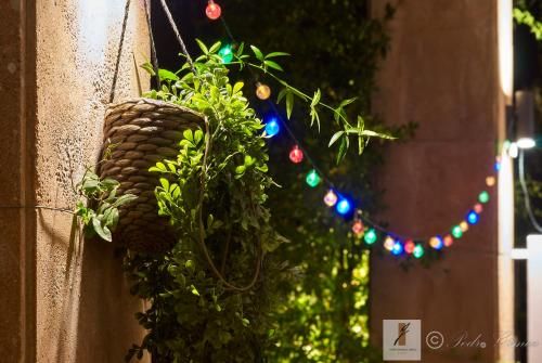 Outdoor Pictures 17