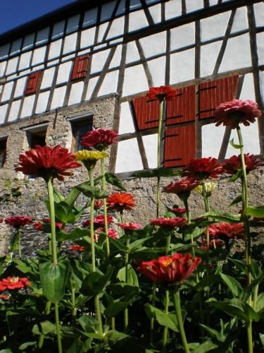 Gut Bunt Ferienhaus