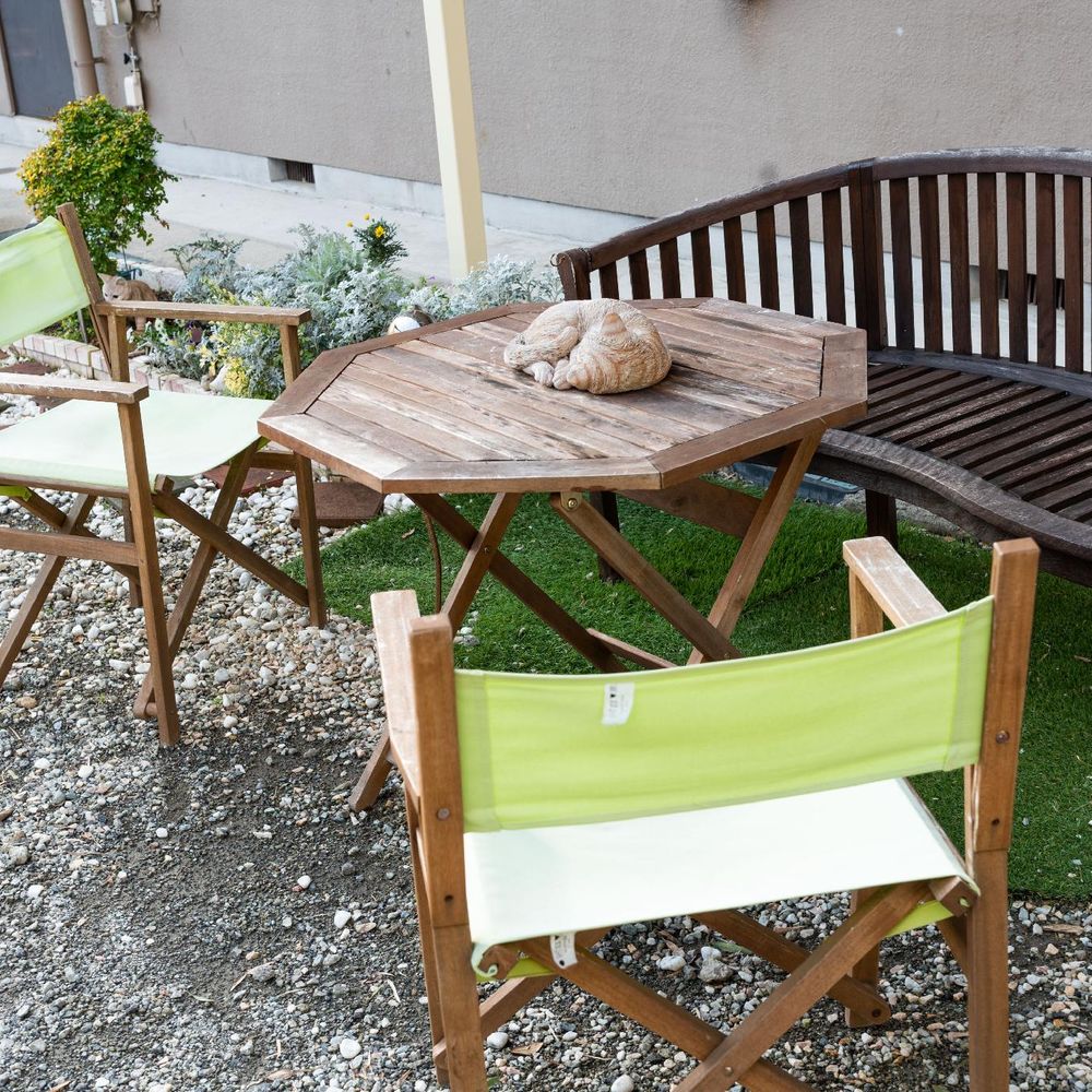 Outdoor Pictures 3