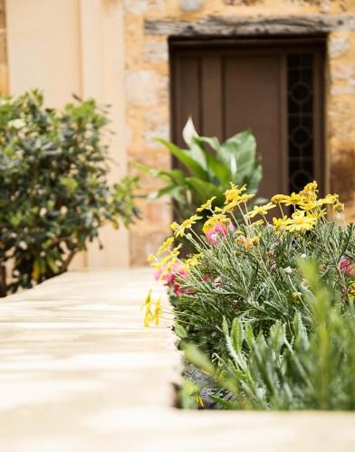 Outdoor Pictures 24